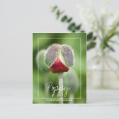 パベラス科のケシの花 ポストカード (スタンド正面)