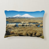 パヤカラス火山 アクセントクッション (裏面)