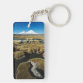 パヤカラス火山 キーホルダー (裏面)