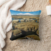 パヤカラス火山 クッション (ブランケット)