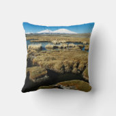 パヤカラス火山 クッション (裏面)