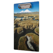 パヤカラス火山 クリップボード (左)