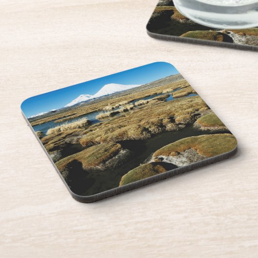 パヤカラス火山 コースター (左側)