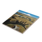 パヤカラス火山 タイル (側面)