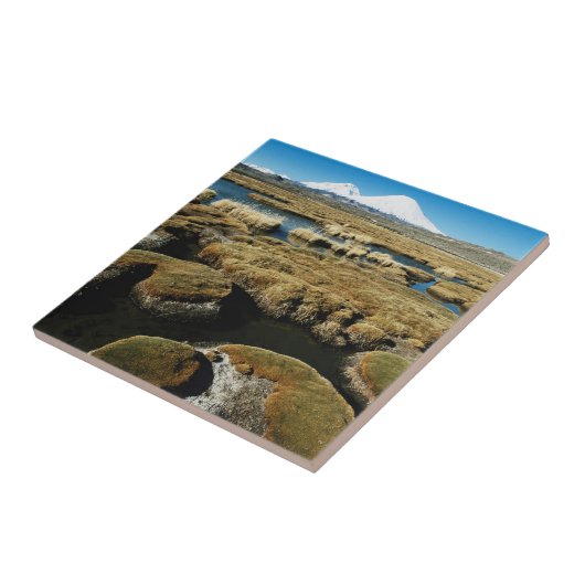 パヤカラス火山 タイル (側面)