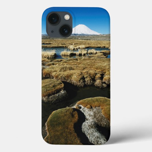 パヤカラス火山 Case-Mate iPhoneケース (裏面)