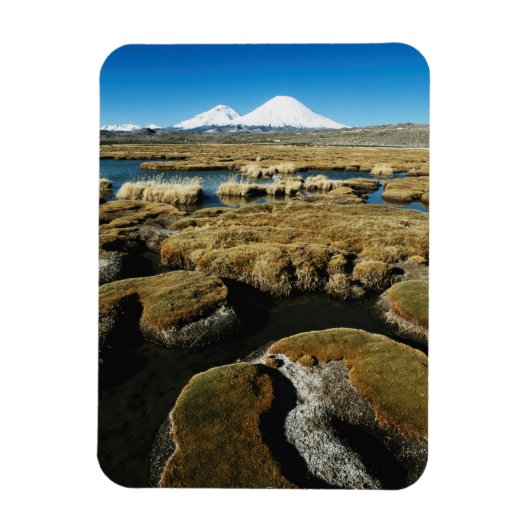 パヤチャタス火山 マグネット (縦)