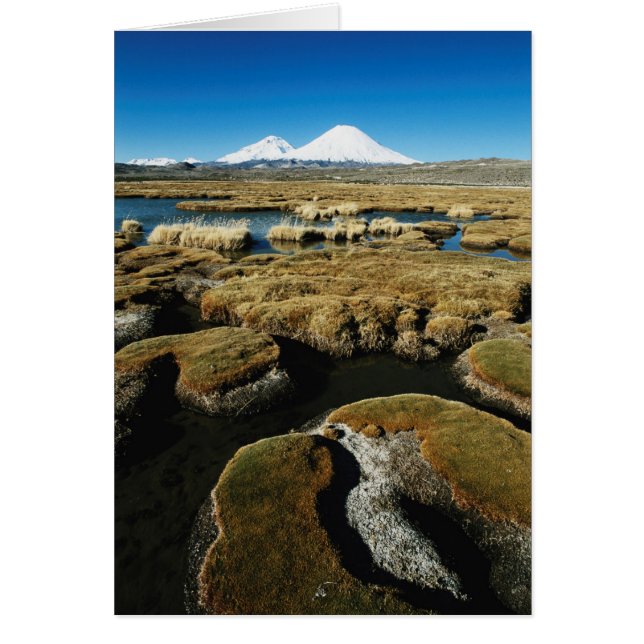 パヤチャラスの火山 (正面)