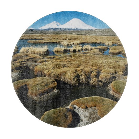 パヤチャラス火山 カッティングボード (正面)