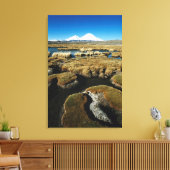 パヤチャラス火山 キャンバスプリント (インサイチュ (リビング))