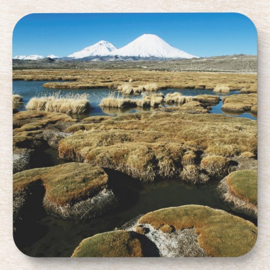 パヤチャラス火山 コースター (正面)