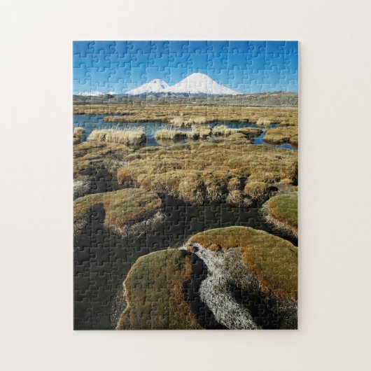 パヤチャラス火山 ジグソーパズル (縦)