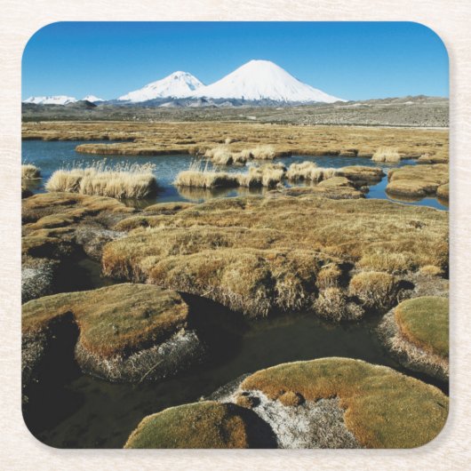 パヤチャラス火山 スクエアペーパーコースター (正面)