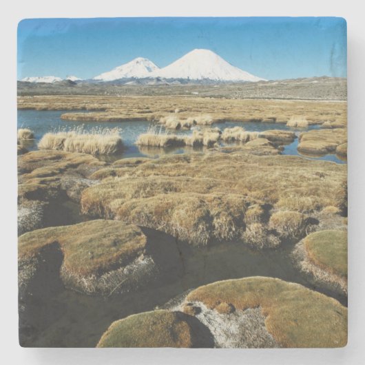 パヤチャラス火山 ストーンコースター (正面)