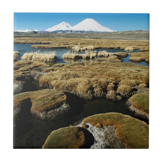 パヤチャラス火山 タイル (正面)
