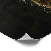 パヤチャラス火山 ポスター (角)