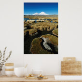 パヤチャラス火山 ポスター (キッチン)