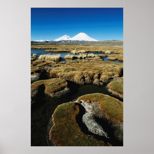 パヤチャラス火山 ポスター (正面)