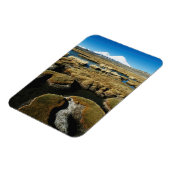 パヤチャラス火山 マグネット (左側)