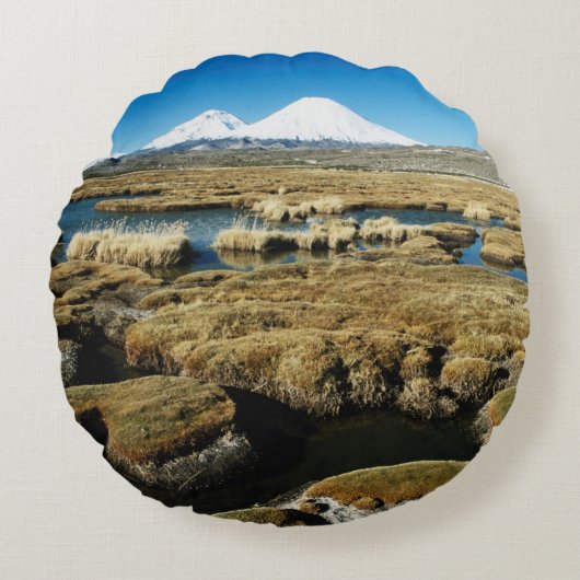 パヤチャラス火山 ラウンドクッション (正面)