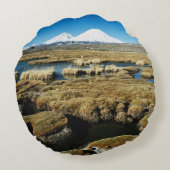 パヤチャラス火山 ラウンドクッション (裏面)