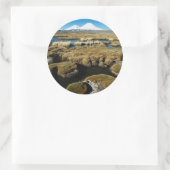 パヤチャラス火山 ラウンドシール (バッグ)