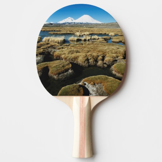 パヤチャラス火山 卓球ラケット (正面)
