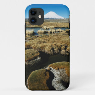 パヤチャラス火山 iPhone 11 ケース