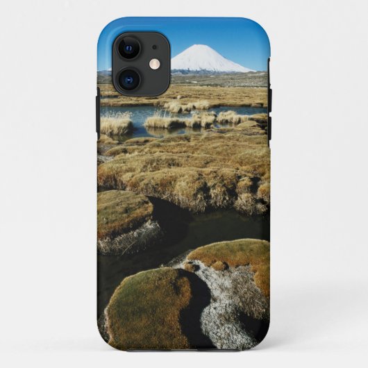 パヤチャラス火山 Case-Mate iPhoneケース (裏面)
