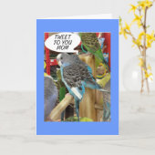 パライケットは母の幸せな日を母にツイートしたい カード (黄色い花)