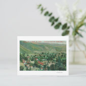 パライソ熱い春と庭園の外観 ポストカード (スタンド正面)