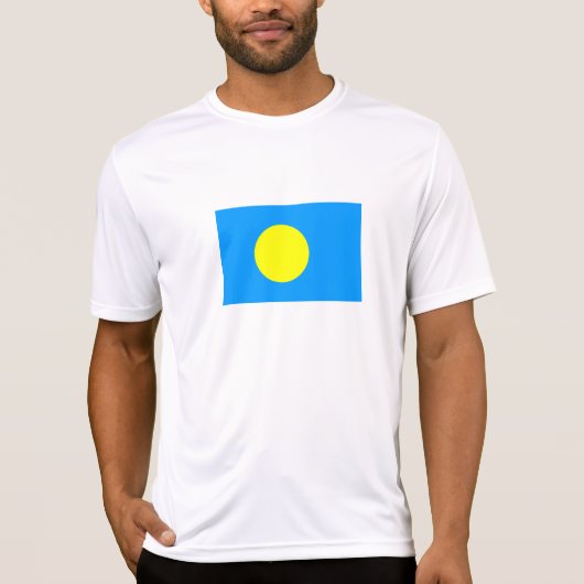 パラオの国旗 Tシャツ (正面)