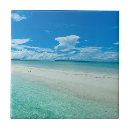 パラオの青い熱帯の海の風景 タイル (正面)