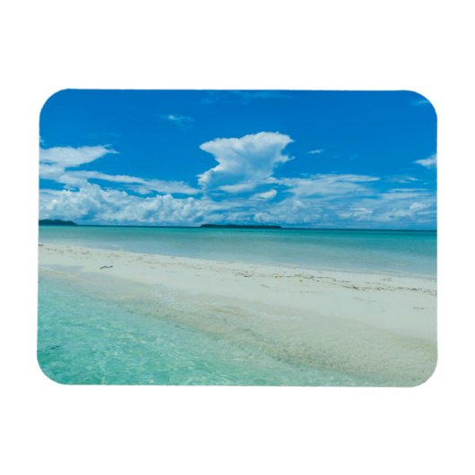 パラオの青い熱帯の海の風景 マグネット (横)