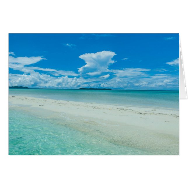 パラオの青い熱帯海の風景 (正面横)