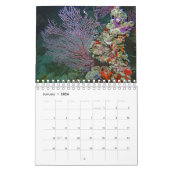 パラオ カレンダー (1月 2026)