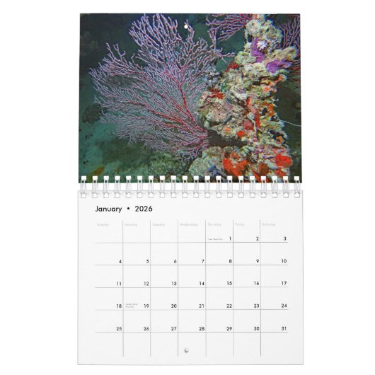 パラオ カレンダー (1月 2026)