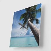 パラオ、ミクロネシア、パームツリー、パラオラグーン スクエア壁時計 (傾斜)