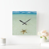 パラオ、浅海の海星 スクエア壁時計 (ホーム)