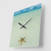 パラオ、浅海の海星 スクエア壁時計 (傾斜)