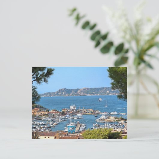 パラオ。#2 ポストカード (スタンド正面)