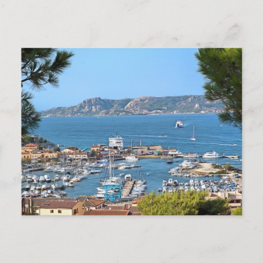 パラオ。#2 ポストカード (正面)