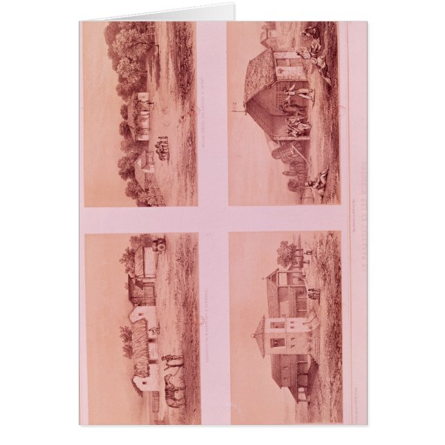 パラグアイおよび代表団 (正面)