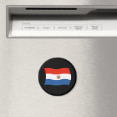 パラグアイの国旗マグネット マグネット (インサイチュ (食洗機))