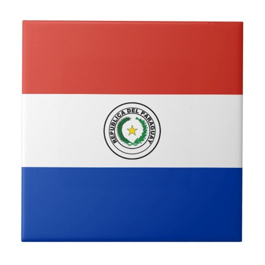 パラグアイの国旗 タイル (正面)