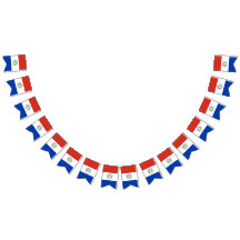 パラグアイの旗