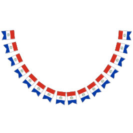 パラグアイの旗 バンティングフラッグ