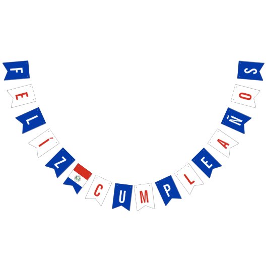 パラグアイの誕生日パーティーの飾り旗 バンティングフラッグ (全)