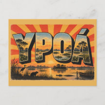 パラグアイのYpoá国立公園の湿地のラグーンアート