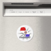 パラグアイ国旗の地図2.0 マグネット (インサイチュ (食洗機))